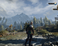 witcher3 2015-07-28 20-19-27-18
