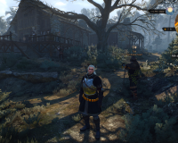 witcher3 2015-07-28 21-47-59-99