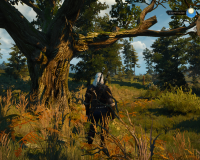 witcher3 2015-09-17 18-31-39-90