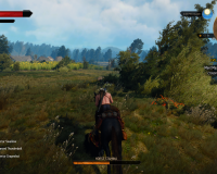 witcher3 2015-10-13 13-09-21-56