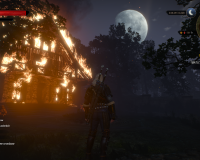witcher3 2015-10-13 21-22-46-16